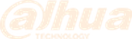Dahua Technology